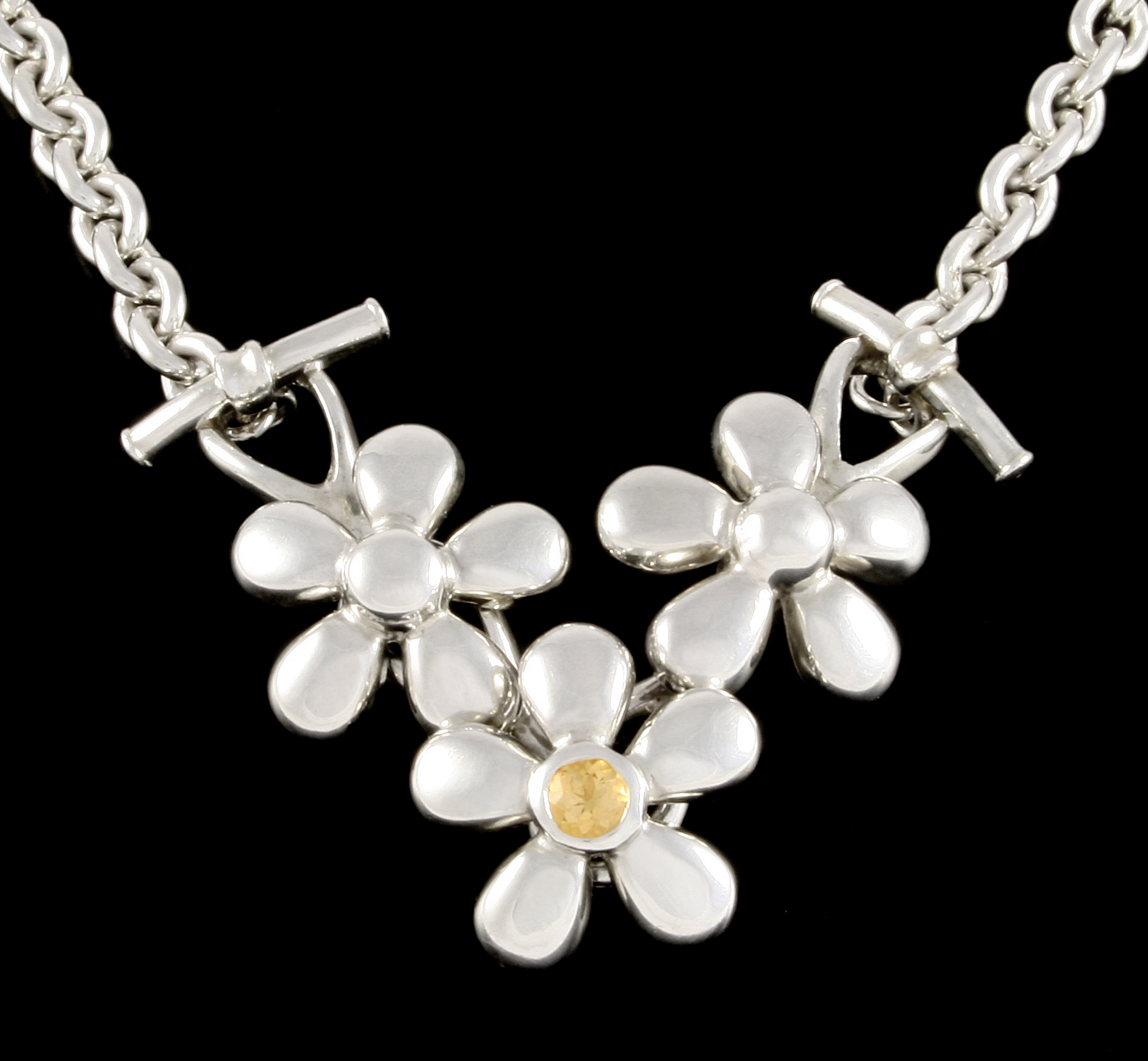 the black daisy company